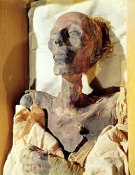 Mummified body of Ramesses II found in a tomb at Deir al-Bahri