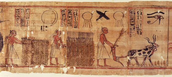 Book of the Dead of Neb-Hepet (detail of the fields)