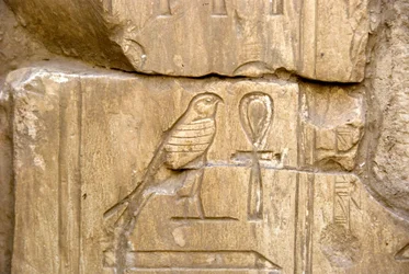 Egyptian antiquity: Cartridge of Ankh Hor. Tomb of Ankh-Hor