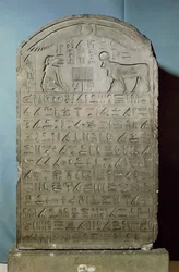 Stela commemorating the burial of the Apis bull during the reign of Ahmose II from the Serapeum at Saqqara