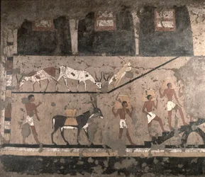 Agricultural Scene, Wall Painting Removed from the Mastaba of Ti at Sakkara, Old Kingdom