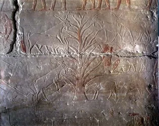 Goats eating a bush, relief from the Mastaba of Akhethotep at Saqqara, Old Kingdom