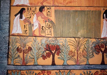 A Harvest Scene