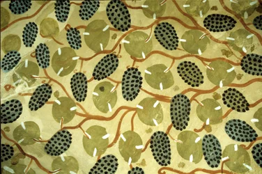 Ancient Egypt, Grapevine ceiling, Tomb of Sennufer, Thebes, Luxor