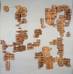 Egyptian antiquity: fragments of the papyrus known as the Royal Canon or Papyrus royal containing the list of pharaohs from the 1st to the 17th dynasty