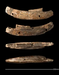 Model boat, Hierakonpolis, Early Dynastic Period (c. 2950 - c. 2575 BC)