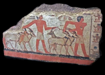 Desert (oryx, gazelles) are brought before Metchetch. Ancient Egyptian wall painting