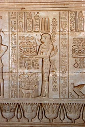 Representation of a young woman bringing offerings as homage to the goddess, Temple of Hathor, Denderah, Egypt