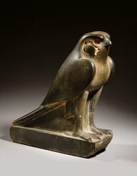 Falcon