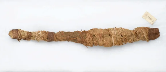 Crocodile mummy, found at Manfalont, 305 BC-30 BC