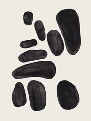 Organic Black Shapes