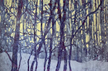 Winter Forest Light