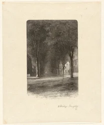 Untitled [Tree-Lined Street]