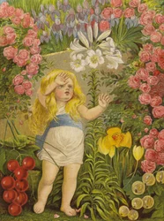 The Lily, the Flower of Heaven