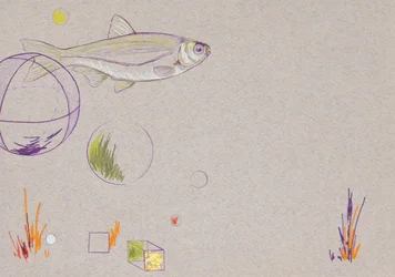 Floating, 2014