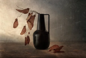 Black Vase Dried Pods