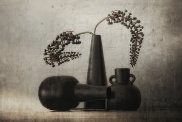 Dark Berry Still Life