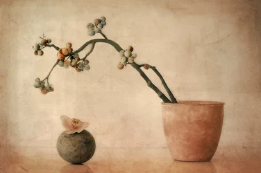 Earthy Berries and Orchid