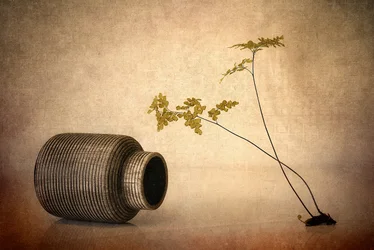 Earthy Vase and Fern