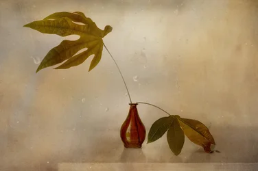 Golden Leaf Still Life