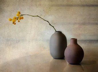 Minimalist Floral Vases