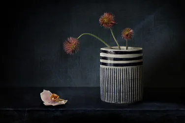 Moody Spiky Flowers