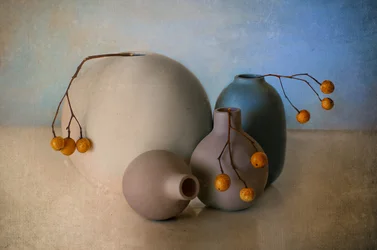Muted Vases and Berries