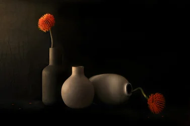 Orange Bloom Still Life
