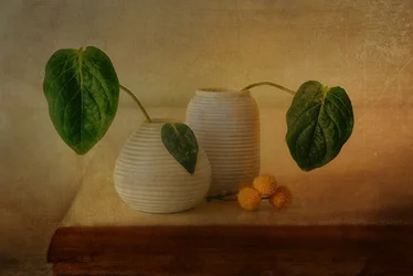 Quiet Botanical Arrangement