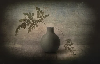 Quiet Fern Still Life