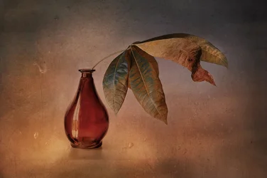 Red Vase Autumn Leaves