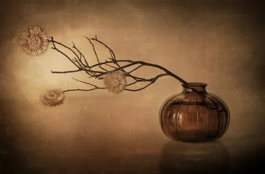 Rustic Vase Still Life