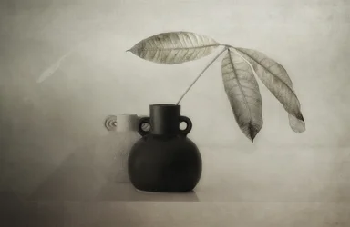 Serene Botanical Still Life