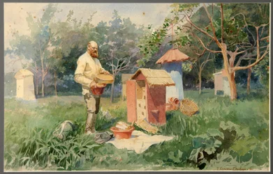 At the Bee Yard