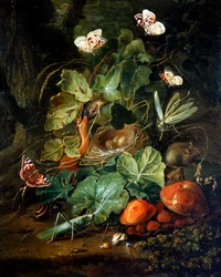A Forest Floor Still Life with Fruits and Butterflies