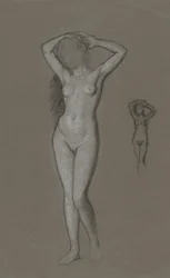 Study for the Figure of Venus