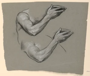 Study of Arm