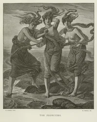 The Phorcydes