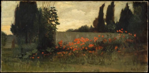 Cypress and Poppies