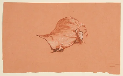 Drapery Study for Costumed Male Torso
