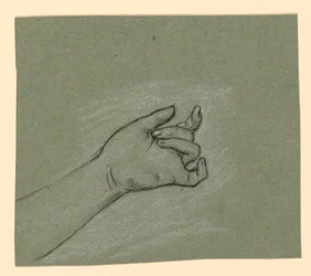 Study of Wrist and Left Hand