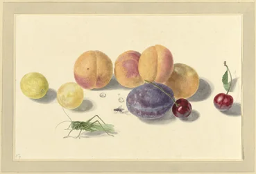 Peaches, Plums, Cherries, and Two Insects