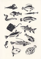 Monotone Plain Fish
