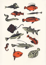 Orange Plain Fish