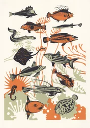 Orange Seaweed Fish