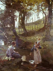 The Primrose Wood