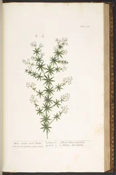 Plate 168, from 