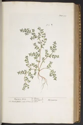 Plate 320, from 