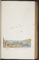 Plate 380, from 