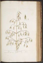 Plate 422, from 